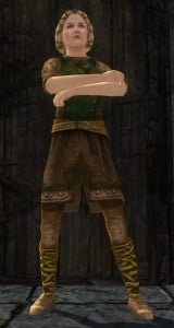 File:Teal Saddler-LOTRO-1.jpg