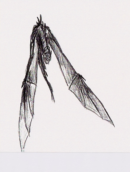 File:Eytan Eylul Guler - Nazgul.jpg