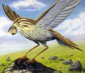 File:Mark Poole - The Old Thrush.jpg