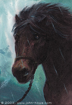 File:John Howe - Bill the Pony.jpg