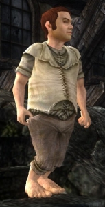 File:Fastred Burrows-LOTRO.jpg