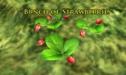Bunch of Strawberries.jpg
