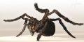 Luca Bonatti - Shelob.jpg