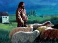 Brad Williams - Sheep.jpg