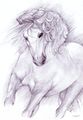 Shyangell - Shadowfax.jpg