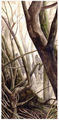 Peter Xavier Price - Tuor follows Voronwe.jpg