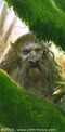 John Howe - Ghan-Buri-Ghan.jpg