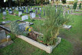 Tolkien Grave at Wolvercote.jpg