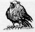 Maret Kernumees - Roäc.jpg