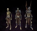 Wights (LOTRO).jpg