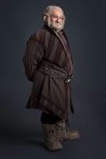 The Hobbit (film series) - Dori.jpg