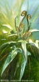 John Howe - Athelas.jpg