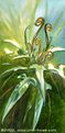 John Howe - Athelas.jpg