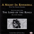 A Night in Rivendell.jpg