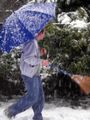 Snow.jpg