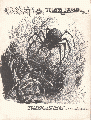 Orcist 4.gif