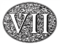 VII SEVEN.png