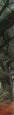 John Howe - Mirkwood.jpg