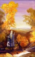 Jef Murray - Fangorn Revisited.jpg