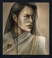 Ana Kusicka - Elrond.jpg